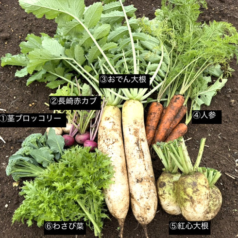 【12/26まで限定販売】冬の”とくとく”野菜セット《おまかせ7種》